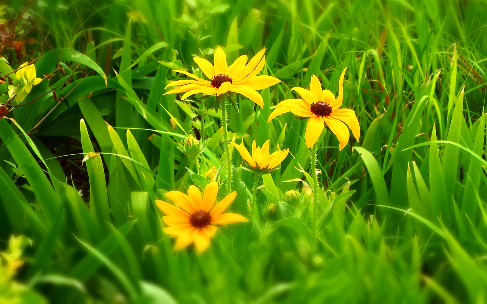 空调挡在哪些地方会坏风水