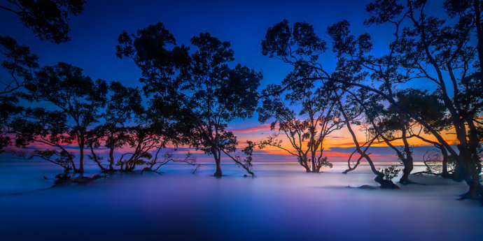 女性办公桌上摆放风水 女性办公室放什么好