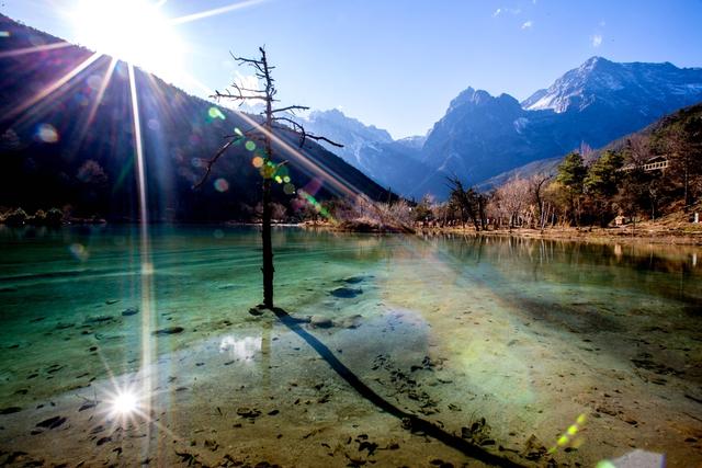 助你越过越富的风水用品 招财猫的正确使用方法