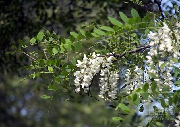 家里风水不好怎么办 多开窗勤打扫