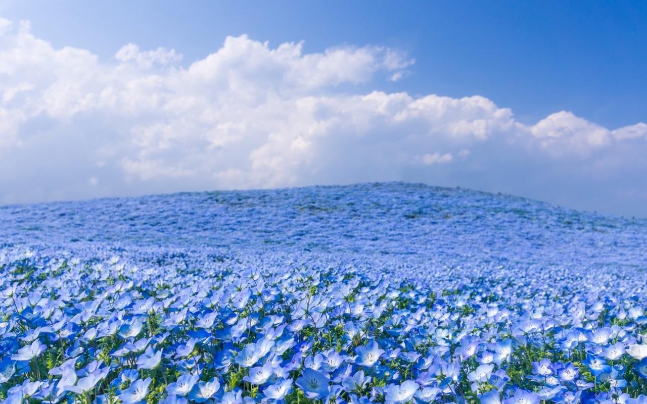 老板办公室布局风水 以避免煞气为宜