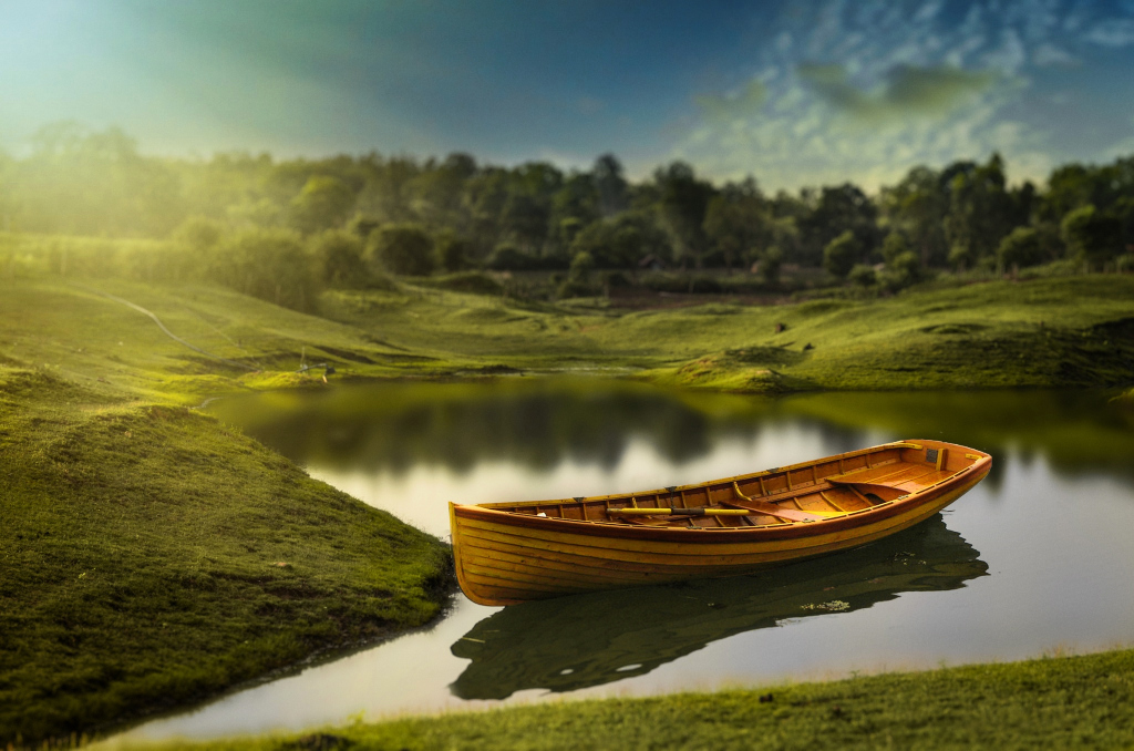 风水放什么升职 绿植茂盛最养人