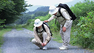 梦见父母要去旅行是什么意思