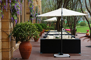 梦见情景是什么意思