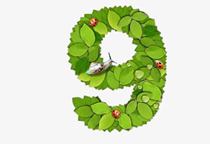 梦见9 九是什么意思