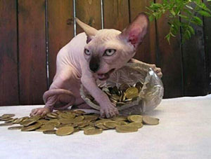 梦见守财奴是什么意思