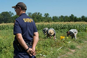 梦见与犯人交谈是什么意思