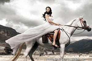 未婚者梦见买马是什么意思