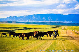 久病痊愈的梦见骑马是什么意思