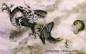 梦见梦里看见龙在天上飞是什么征兆