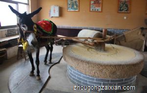 梦见毛驴拉磨是什么意思