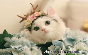 梦见叫喊是什么意思