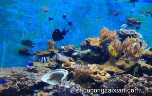 梦见海底世界是什么意思