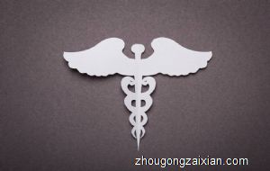 梦见蛇杖是什么意思