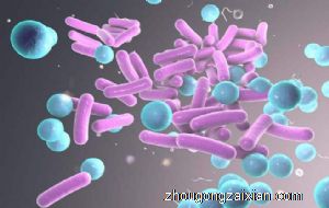 梦见传染病是什么意思