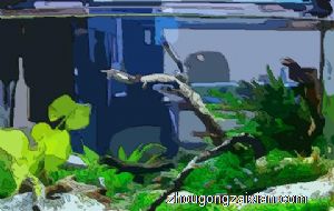 梦见鱼缸碎了是什么意思