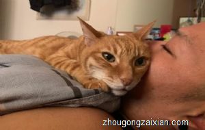 梦见自己全身长毛是什么意思