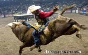 梦见牛来撞我是什么意思