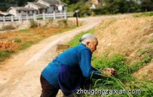 梦见瘫在床的婆婆能下地走路是什么意思