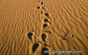 梦见在沙地睡觉是什么意思