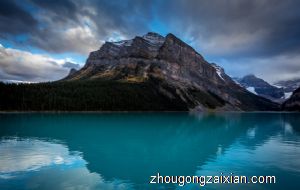 梦见小鸭子吃鱼虫是什么意思