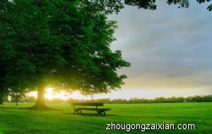 梦见自己肠子显露来了是什么意思