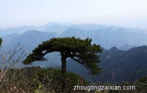 梦见在山脚下照相是什么意思