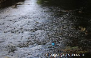 梦见鞋掉到河里是什么意思