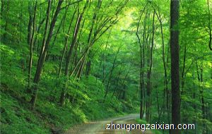 梦见挖植物是什么意思