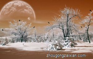 梦见穿的衣服挂在树上是什么意思