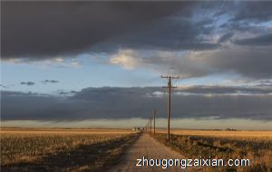 梦见电线杆子倒了