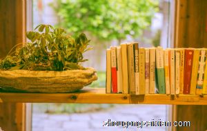 梦见自己的书被别人拿走是什么意思