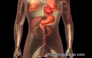 梦见器官被割是什么意思