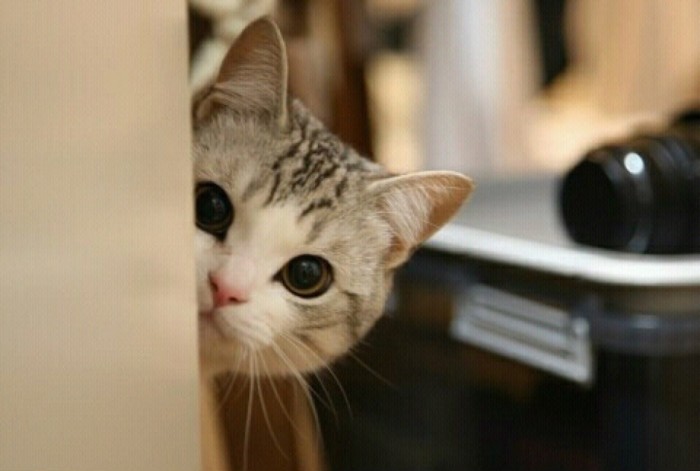 梦见躲藏是什么意思