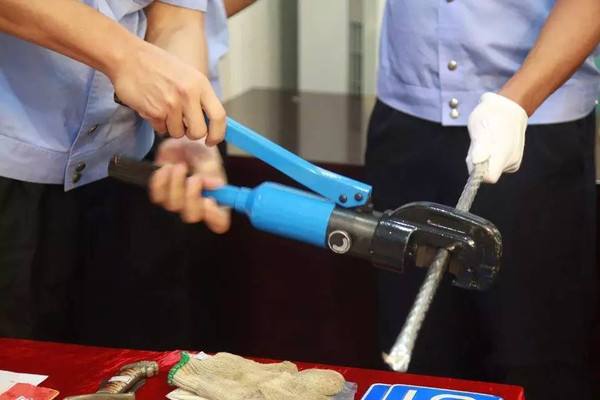 梦见你追赶或抓获一个小偷是什么意思