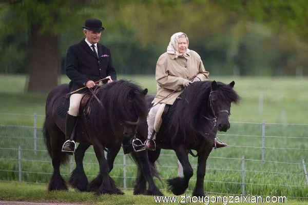 梦见马跟在自己身后是什么意思