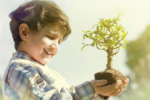 梦见自己家的孩子