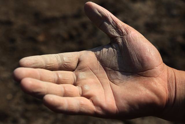 梦见手上有虫子是什么意思