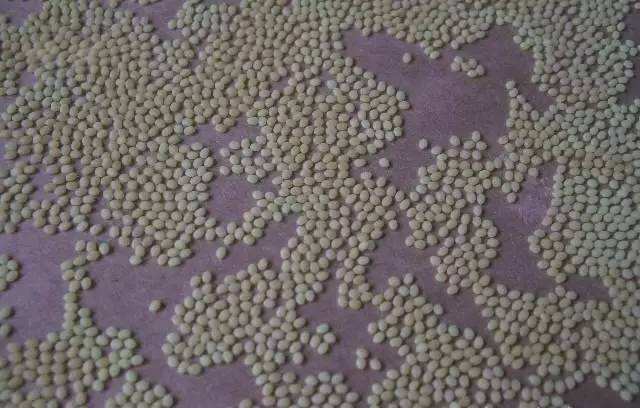 梦见虫卵是什么意思