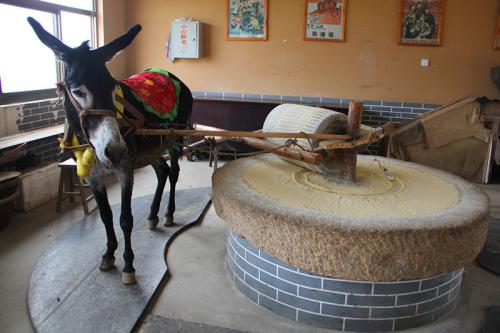 梦见毛驴拉磨是什么意思