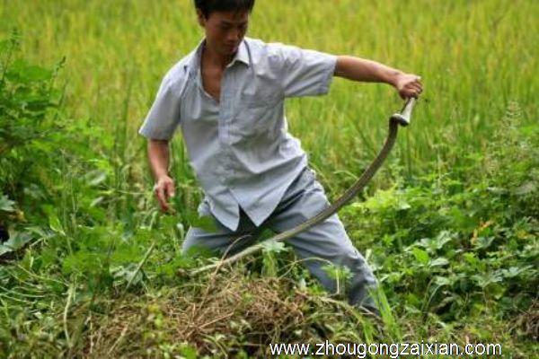 梦见被蛇咬是什么意思