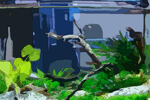 梦见鱼缸碎了是什么意思