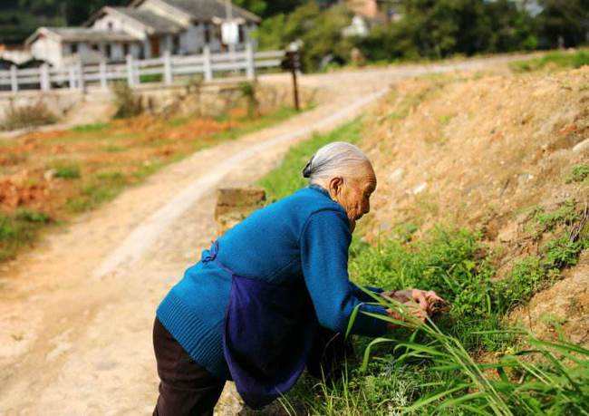 梦见瘫在床的婆婆能下地走路是什么意思