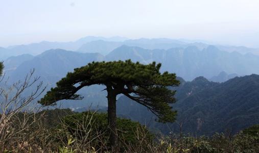 梦见在山脚下照相是什么意思