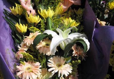 梦见墓地很多白花是什么意思