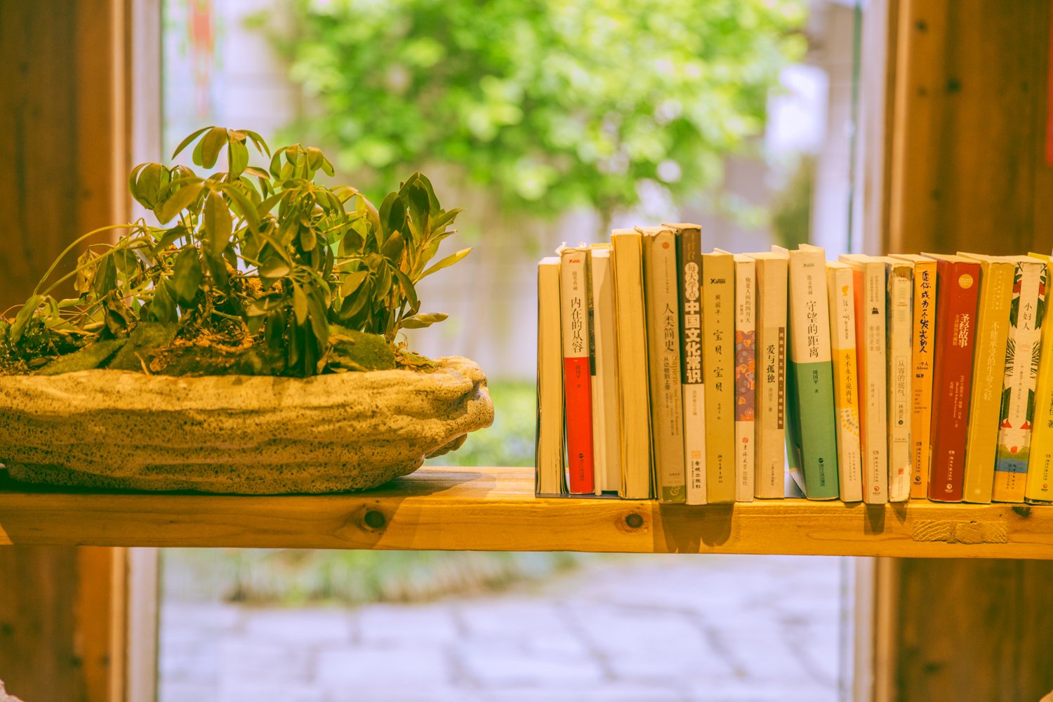 梦见自己的书被别人拿走是什么意思