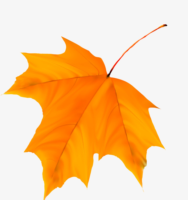 梦见黄色的树叶是什么意思