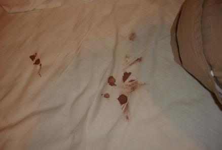 梦见月经弄到床上是什么意思