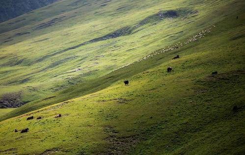 梦见地动山摇是什么意思