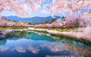 2022年属马犯太岁是什么意思,如何化解